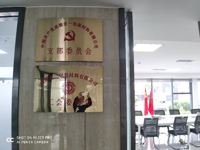 热烈祝贺Ag亚洲集团集团成都分公司党支部在2020年3月11日授牌建设，，，，支部书记曹云(行政部司理)